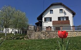 Guest House Aurora